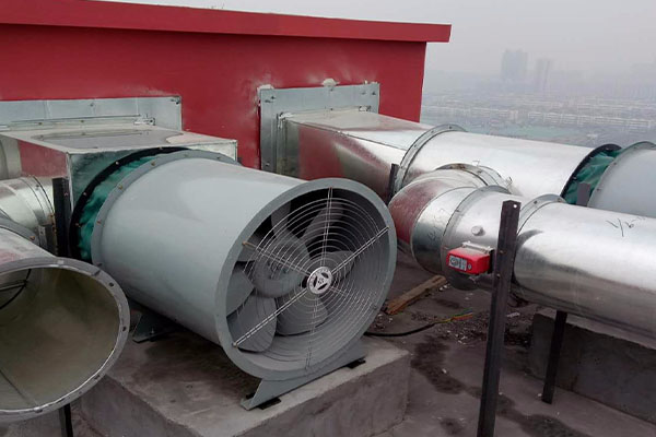 山东水蜜桃综合在线观看