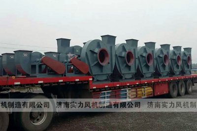 山东水蜜桃综合在线观看