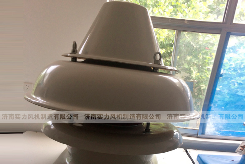 屋顶轴流水蜜桃综合在线观看
