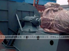 济南离心水蜜桃综合在线观看